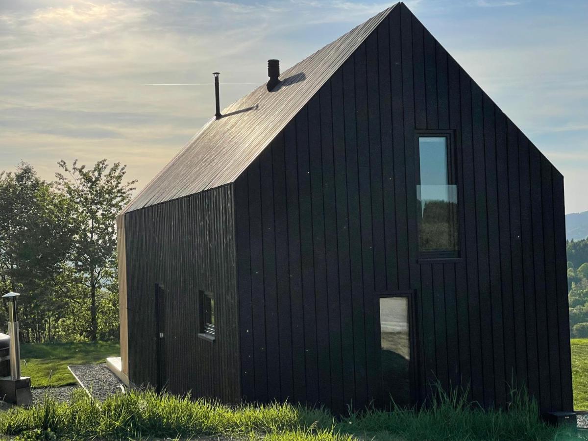 Domy Wypoczynkowe W Beskidach - Odpoczywaj W Naturze Laskowa  Exterior foto
